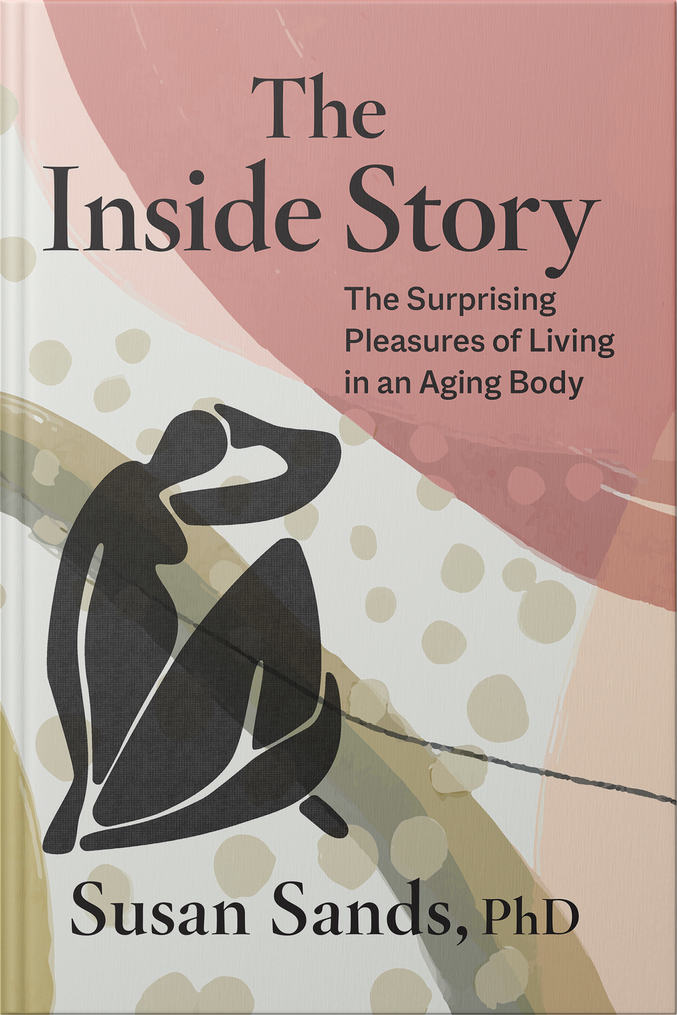 book cover for The Inside Story